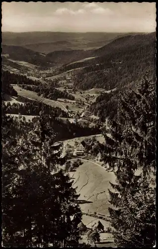 Ansichtskarte Reinerzau-Alpirsbach Reinerzau Blick ins Tal 1961
