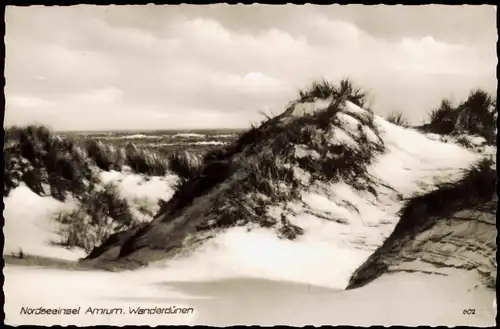 Ansichtskarte Föhr-Amrum Nordseeinsel Amrum Wanderdünen 1960