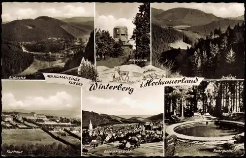 Winterberg Mehrbild-AK mit Silbecke, Orketal, Astenturm, Hochsauerland 1965