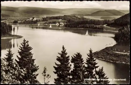 Ansichtskarte Meschede Umland Hennesee im Sauerland 1960