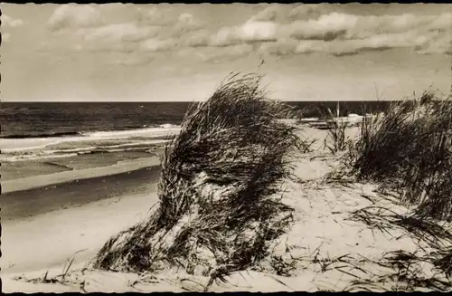 Ansichtskarte Wangerooge Meer Strand Nordsee Dünen 1960