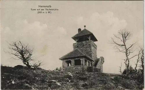 Ansichtskarte Bad Herrenalb Herrenalb 1915