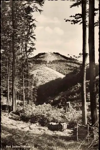 Ansichtskarte Bad Sachsa Umland-Ansicht Südharz Berghof Ravensberg 1960