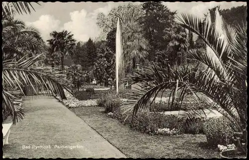 Ansichtskarte Bad Pyrmont Palmengarten Palmen Botanik 1958