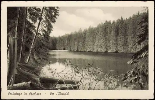 Ansichtskarte Braunlage Umland-Ansicht Der Silberteich Oberharz 1953