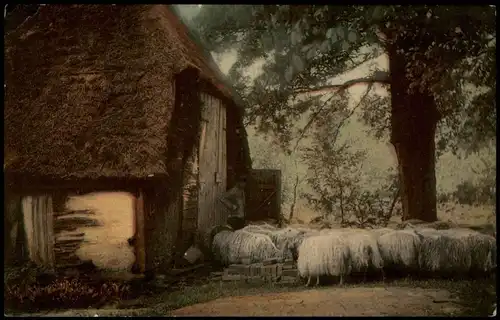 Ansichtskarte  Tiere Haidschnuckenherde 1918  gel. Stempel Leipzig Eutritzsch