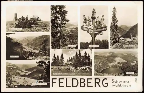 Feldberg (Schwarzwald)  Schwarzwald; Mehrbildkarte mit div. Foto-Ansichten 1951