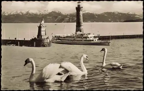 Ansichtskarte Lindau (Bodensee) Hafen Bodensee Schiff Schwäne 1960