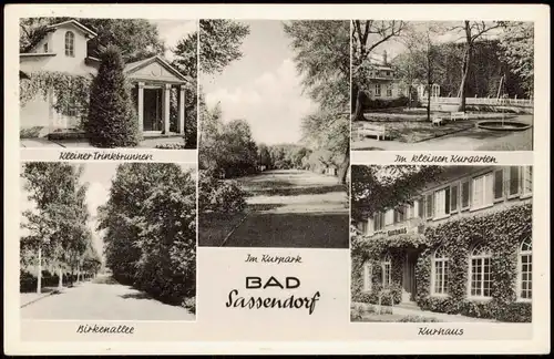 Bad Sassendorf Mehrbild-AK mit Kurgarten, Birkenallee Trinkbrunnen 1967