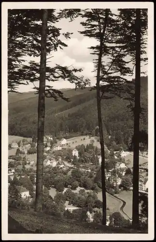 Ansichtskarte Bad Herrenalb Panorama-Ansicht Blick vom Bottenberg 1950