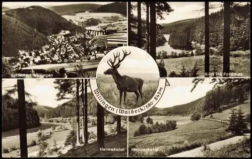 Willingen (Upland) Umland-Ansichten u.a. Hermeketal, Hoppecketal, Paradies 1965