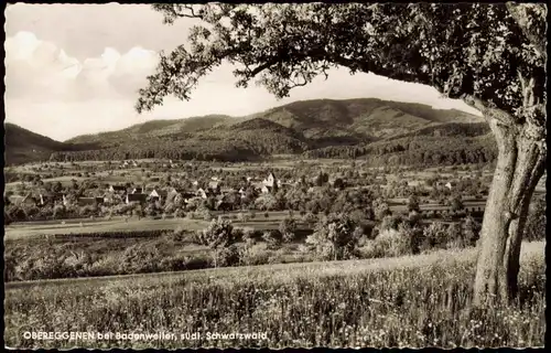 Ansichtskarte Obereggenen-Schliengen Panorama-Ansicht 1963