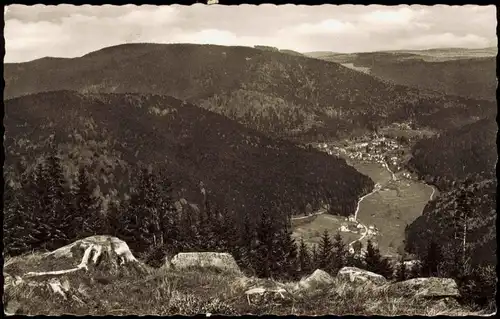 Ansichtskarte Bad Herrenalb Blick vom Schweizerkopf 1959