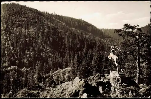 Hirschsprung-Breitnau Höllental Schwarzwald Hirschensprung Frankenwald 1965