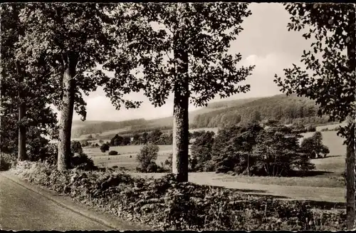 Neuhaus im Solling-Holzminden An der Uslarer Straße Panorama-Ansicht 1960