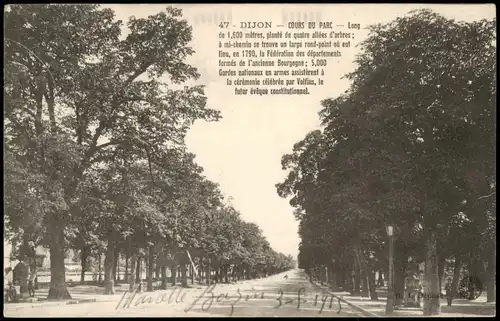 CPA Dijon (Dision) Dijon COURS DU PARC; Baum Allee im Park 1916