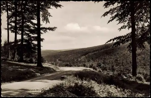 Ansichtskarte Neuhaus im Solling-Holzminden  1961  mit rundem Landpoststempel