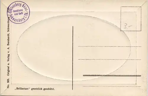 Ansichtskarte Schwarzburg Blick v. Trippstein. 1911 Passepartout