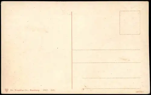 Ansichtskarte Hamburg Partie aus dem Botanischen Garten 1907