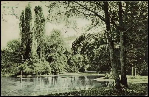 Ansichtskarte Wiesbaden Kurgarten Partie im Kurpark 1914