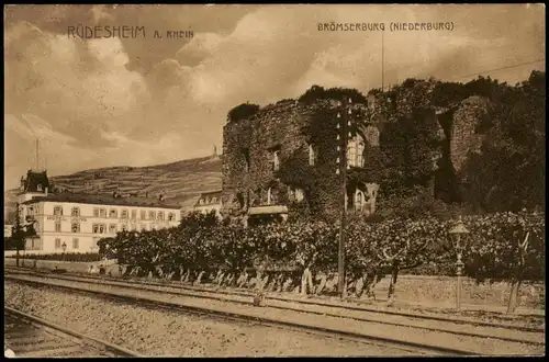 Ansichtskarte Rüdesheim (Rhein) BRÖMSERBURG (NIEDERBURG) 1911/1907