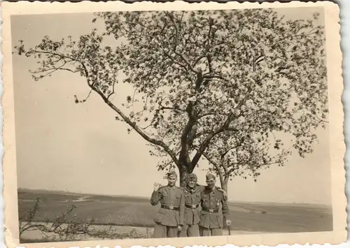 Militär Propaganda Soldatenleben Gruppenfoto Soldaten Baum 1940 Privatfoto Foto