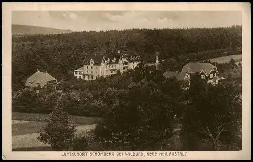 Schömberg (Schwarzwald) Panorama Blick auf NEUE HEILANSTALT 1927