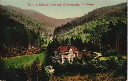 Ansichtskarte Bühlertal Hôtel u. Kurhaus Gertelbach (Schwarzwald) 1910