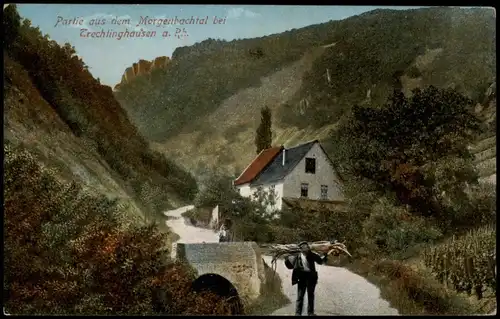 Ansichtskarte Trechtingshausen Partie im Morgenbachtal 1917