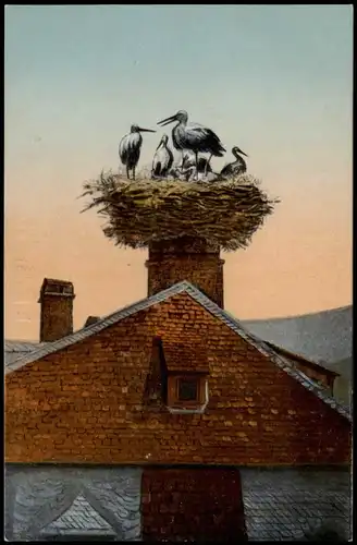 Ansichtskarte Heidelberg Das Storchnest in Heidelberg, Hauptstrasse 137 1913