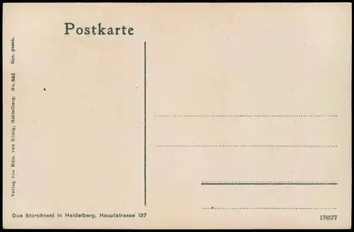 Ansichtskarte Heidelberg Das Storchnest in Heidelberg, Hauptstrasse 137 1913