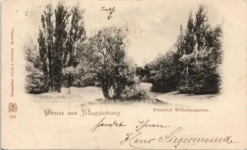 Ansichtskarte Magdeburg Friedrich Wilhelmsgarten. 1898