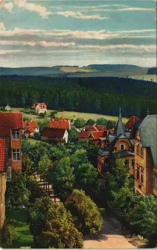 Ansichtskarte Braunlage Bergstraße, Naturfarben 1920