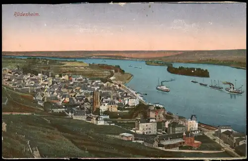 Ansichtskarte Rüdesheim (Rhein) Panorama-Ansicht mit Rhein-Blick 1910