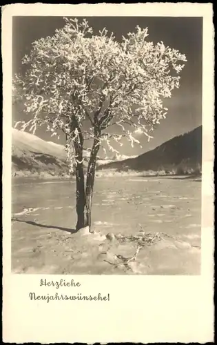 Ansichtskarte  Neujahr Sylvester New Year Grusskarte Stimmungsbild Natur 1950