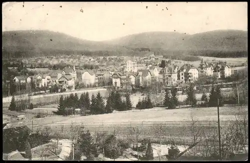 Ansichtskarte Königstein (Taunus) Ortspanorama Villenviertel Villen 1910