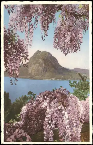 Ansichtskarte Lugano Monte S. Salvatore e glicine 1940