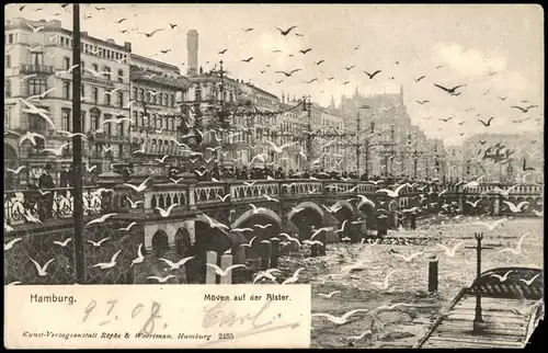 Ansichtskarte Altstadt-Hamburg Möven Schwarm an der Alster 1908