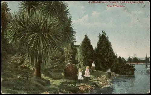 Postcard San Francisco Golden Gate Park 1915