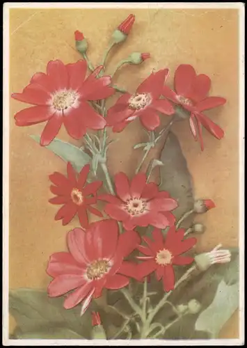 Ansichtskarte  Künstlerkarte Gemälde (Blumen Motiv Rote Blume Pflanze) 1940