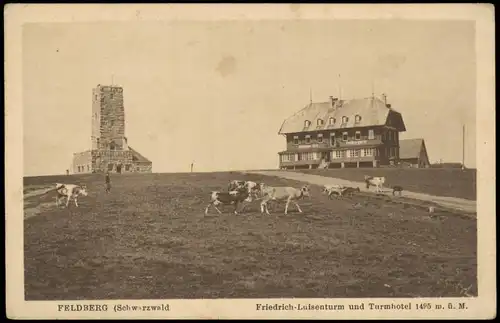 Feldberg (Schwarzwald)  Friedrich-Luisenturm und Turmhotel 1920