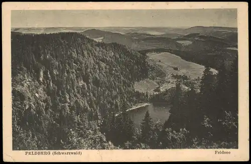 Ansichtskarte Feldberg (Schwarzwald) FELDBERG (Schwarzwald) mit Feldsee 1922