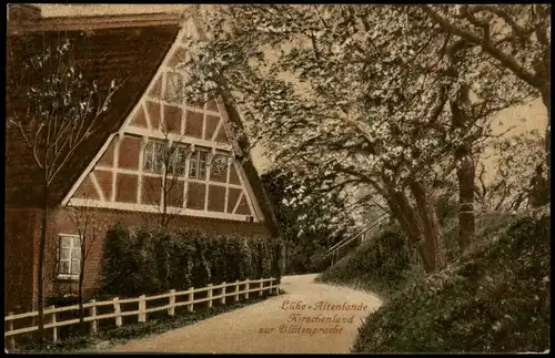 Ansichtskarte Lühe Blütenpracht Kirschenland b Hamburg 1913