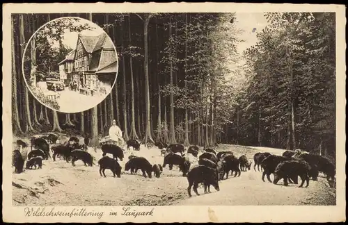 Ansichtskarte Eldagsen-Springe Holzmühle und Wildscheine 2 Bild 1928  gel. 1943