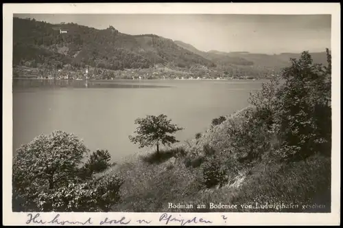 Ludwigshafen (Bodensee)-Bodman- von Ludwigshafen gesehen 1931