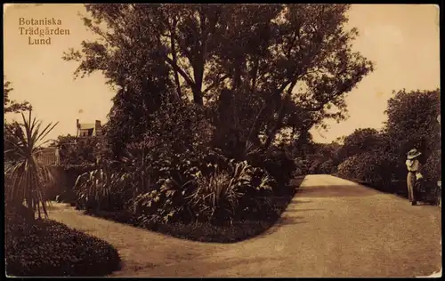 Postcard Lund Botaniska Trädgården 1922