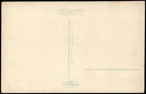 Ansichtskarte Schwarzburg Blick vom Trippstein - colorierte Fotokarte 1926