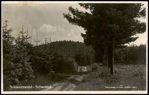 .Baden-Württemberg Schwarzwald (Mittelgebirge) Waldweg, Schwend - Fotokarte 1930