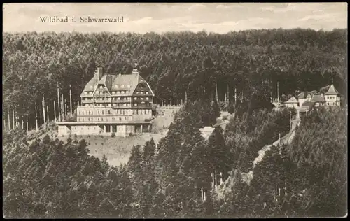 Ansichtskarte Bad Wildbad Sommerberghotel Wildbad 1928