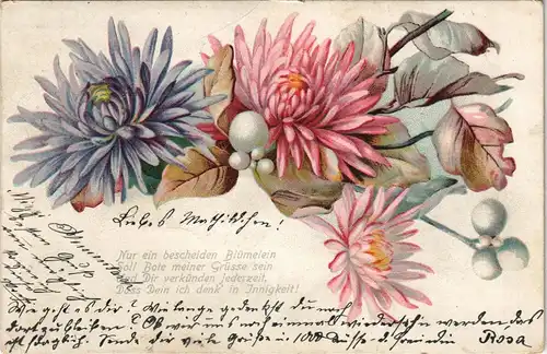 Ansichtskarte  Botanik :: Blumen - Künstlerkarte 1900